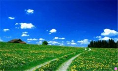 票哆哆-成都票哆哆网络科技有限公司