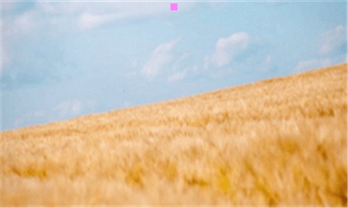 二质量好高级的大码女装