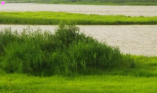 一石家庄电视塔