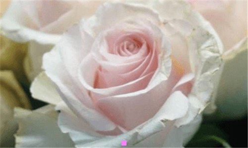 三每年4月都有什么节日