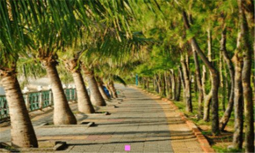 二临海白水洋天气15天