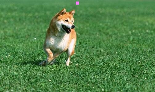 三李白最狂的诗