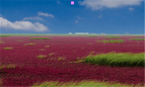 三孙浩开心麻花