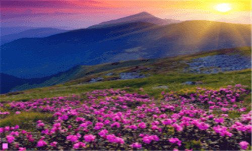 三掸去的拼音和意思