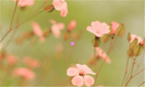 一智慧生活