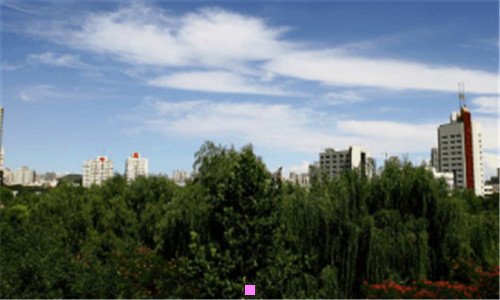 二靓女帅哥是什么意思