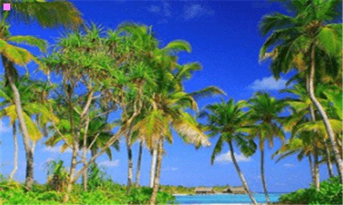 三坐飞机不能带哪些物品