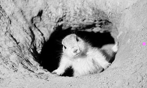 三时光隧道robert campbell