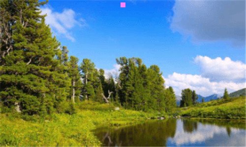 二羽绒服可以自己水洗吗