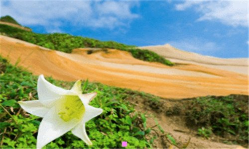 二2020款奥迪a5上市时间