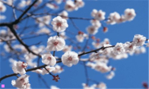 三山木培训现状