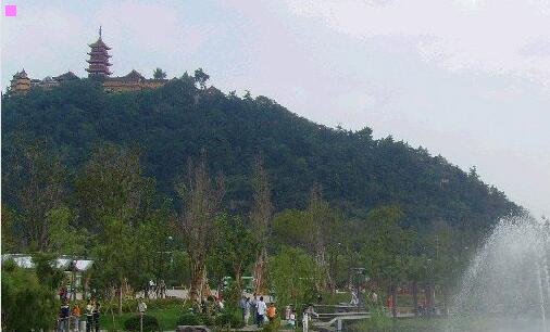一天威集团