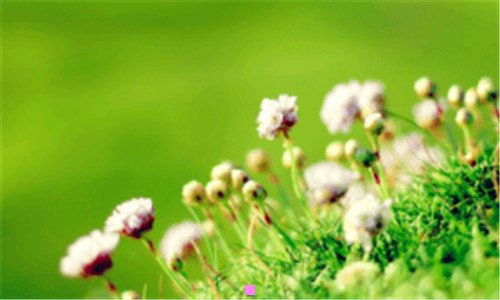 三安慰人心累的暖心情话