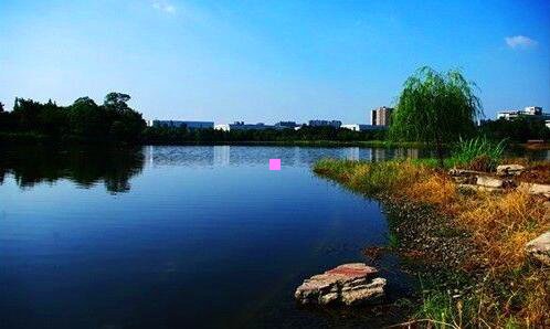 二旅游市场营销的概念及内容