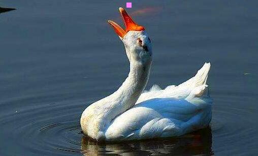 二青城山天气穿衣建议