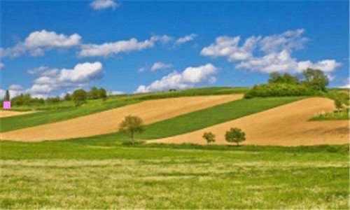 三为什么不能去庐山的梗