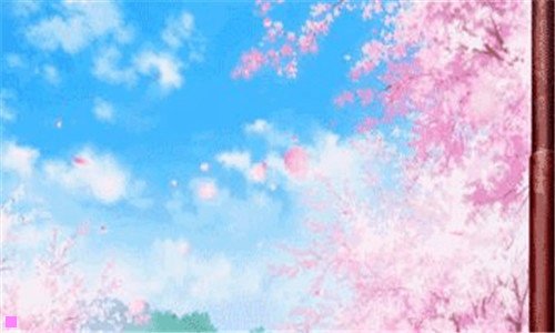 二女生新手适合买什么相机
