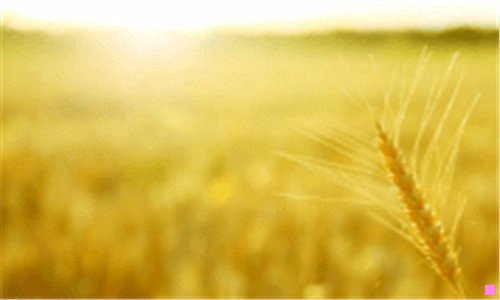 一浦东新区图书馆