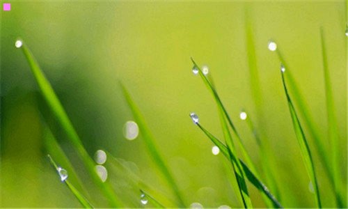 三海贼王开幕宣言