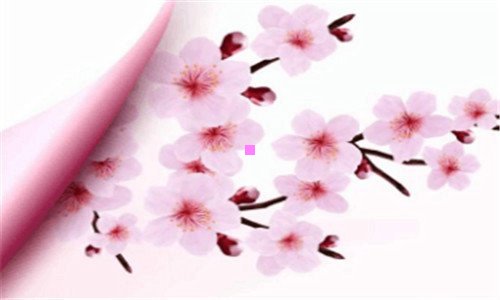 一手表推荐