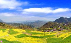 郏县地图-郏县王集乡卫星地图