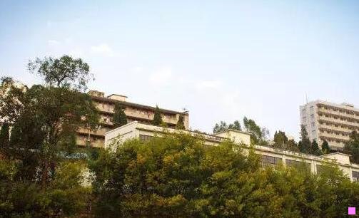 三达摩院和中科院哪个厉害