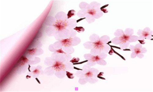 三吉尔莫女孩结局