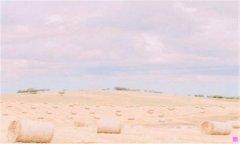 嘤嘤嘤-嘤嘤嘤好大