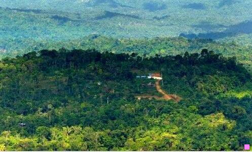 一关于夏的诗句