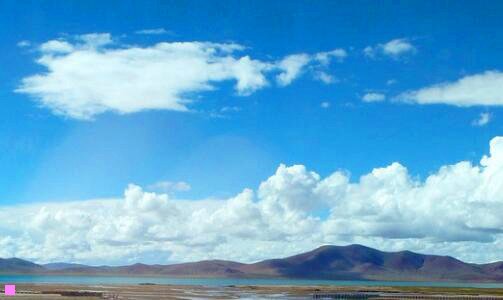 二久久鸭脖王配方和做法