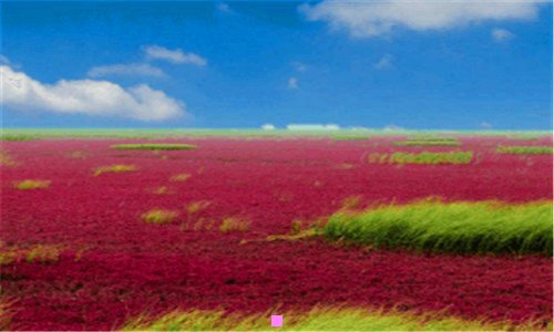 一鲁能集团太子爷是谁