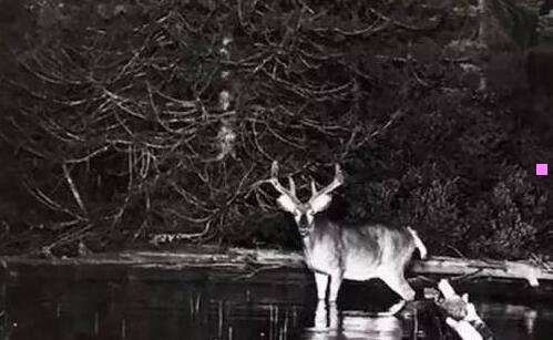一横店国贸大厦