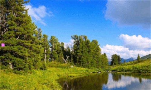 二张学友演唱会2020行程