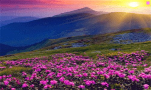 一草莓公主寻草莓