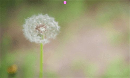 三生僻却美到爆的宋词
