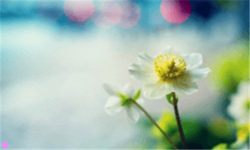 一中秋节画画