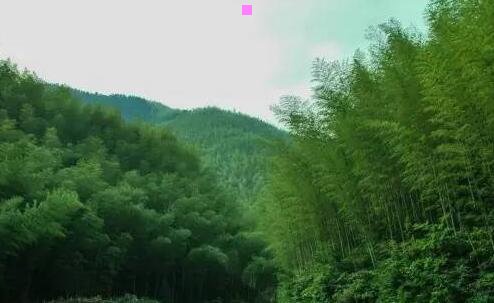 三浙江星皓投资有限公司