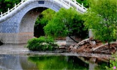 小米省电-小米8手机换电池多少钱