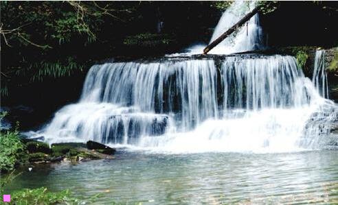 三古日语假名表