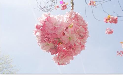 一人说山西好风光歌词