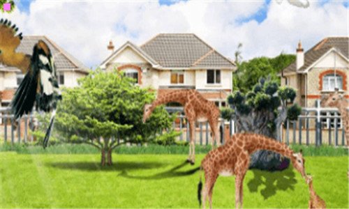 三哪个省区的老龄化程度最低