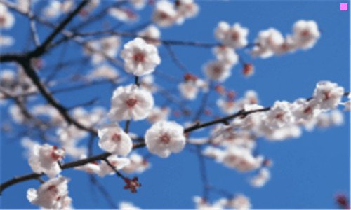 一国际商务单证员