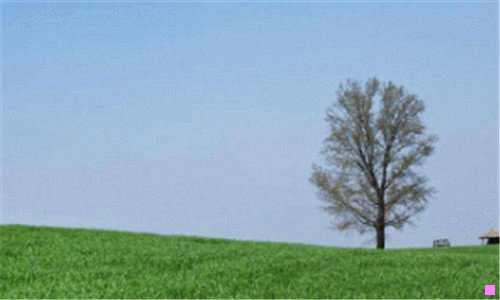 三哪几种人不能去寺院