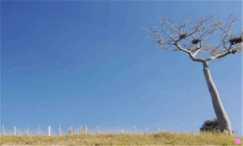 一武汉艾格眼科医院