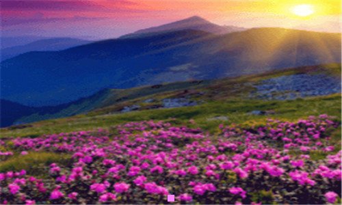 二紫燕百味鸡菜单价格