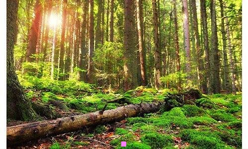 一即将登场图片