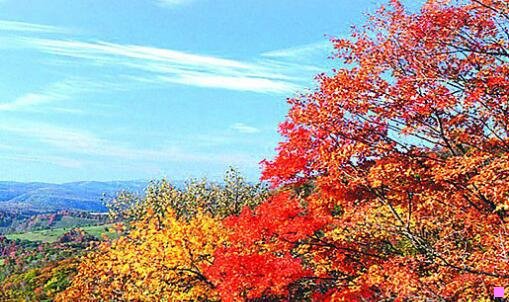 三天津港平行进口斯巴鲁