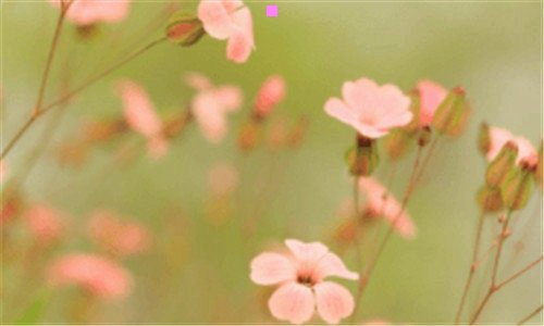 三炫迈妹儿生孩子了吗