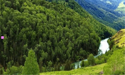 二新舒克贝塔第三季