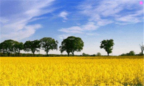 二何园和个园哪个好玩